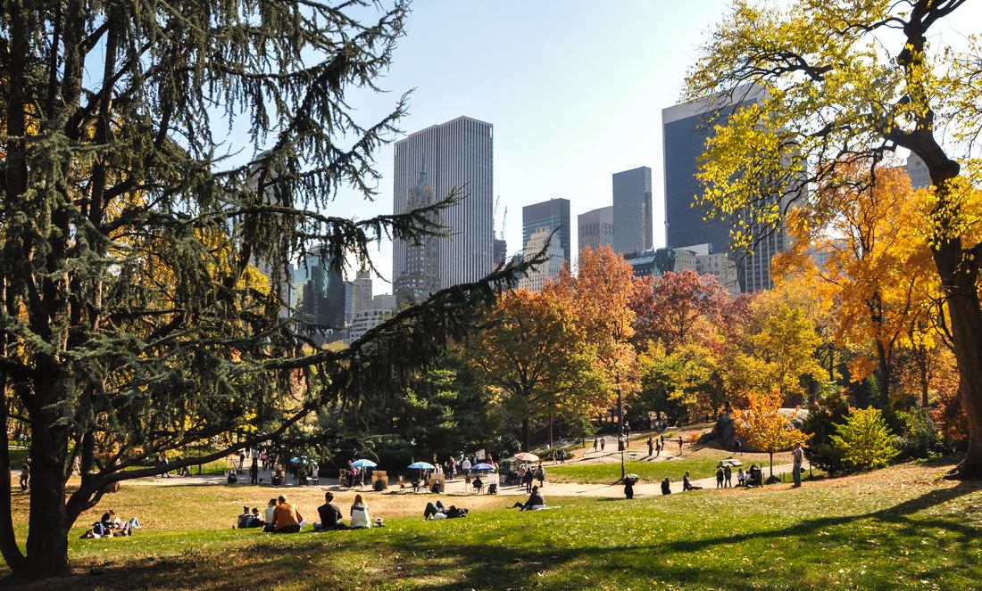 Pique Nique à Central Park