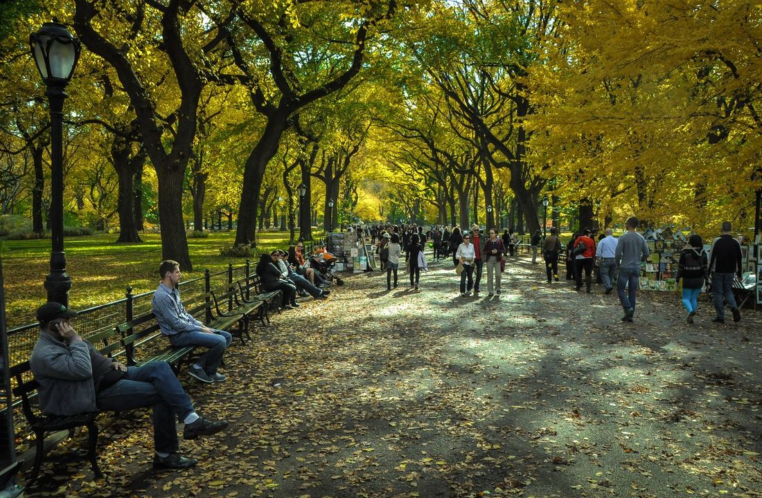 Allée principale de Central Park