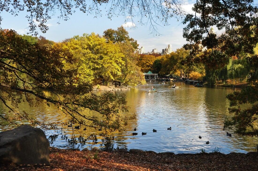 Après midi ensoleillé, Central Park