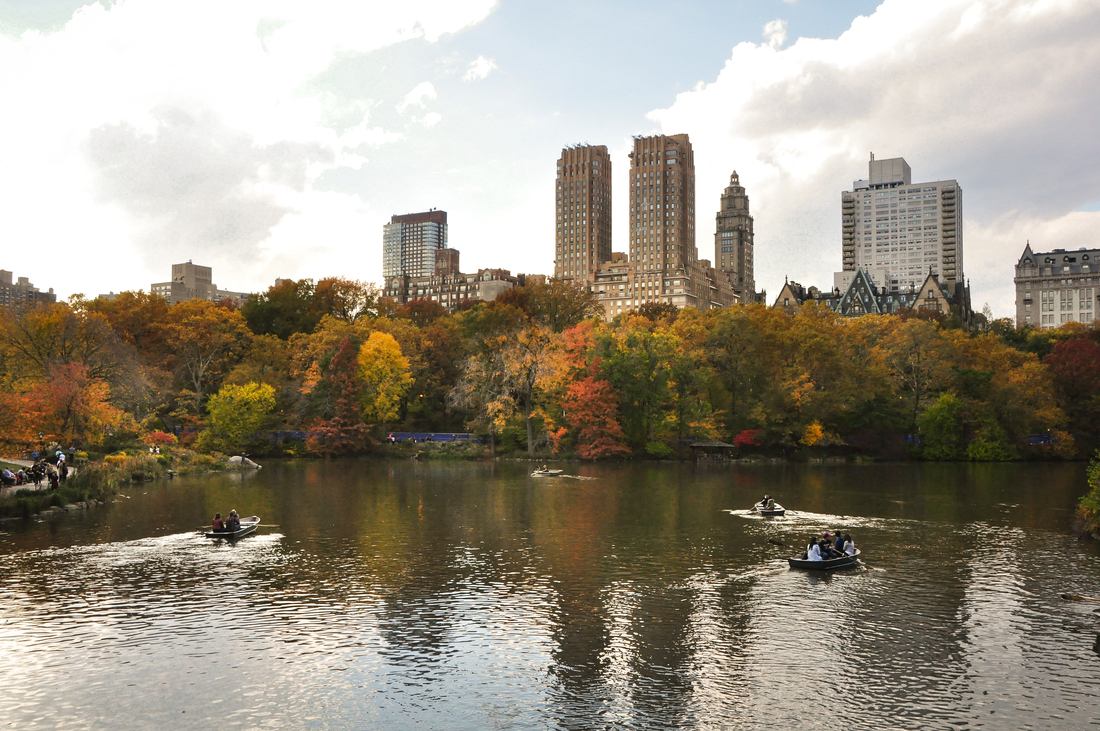 Buildings au delà de Central Park