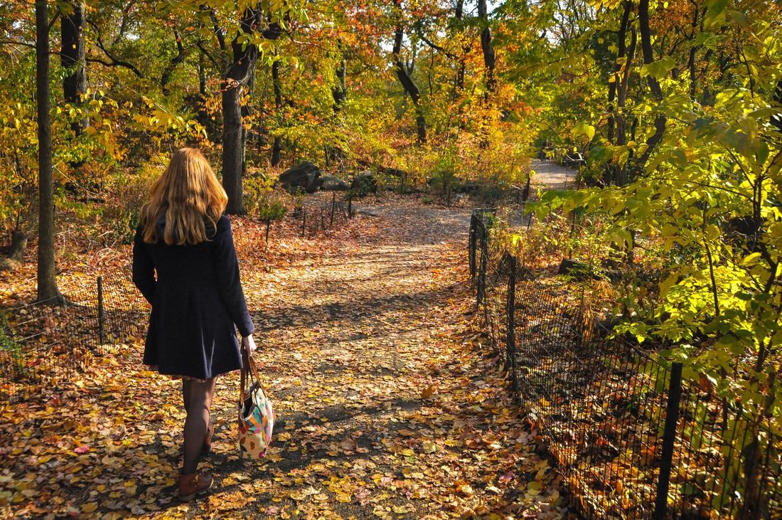 Balade dans Central Park