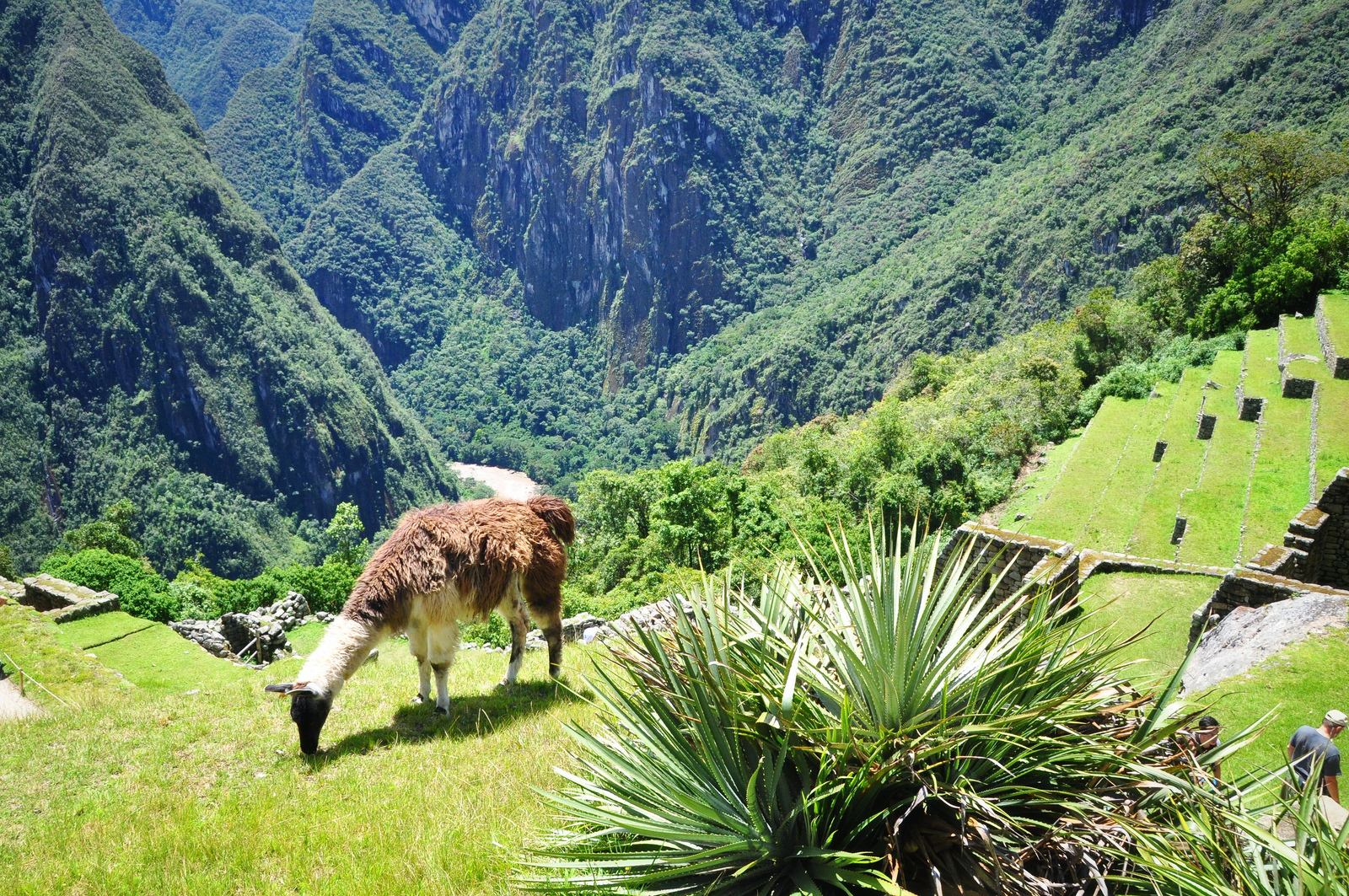 Machu Picchu, Pérou