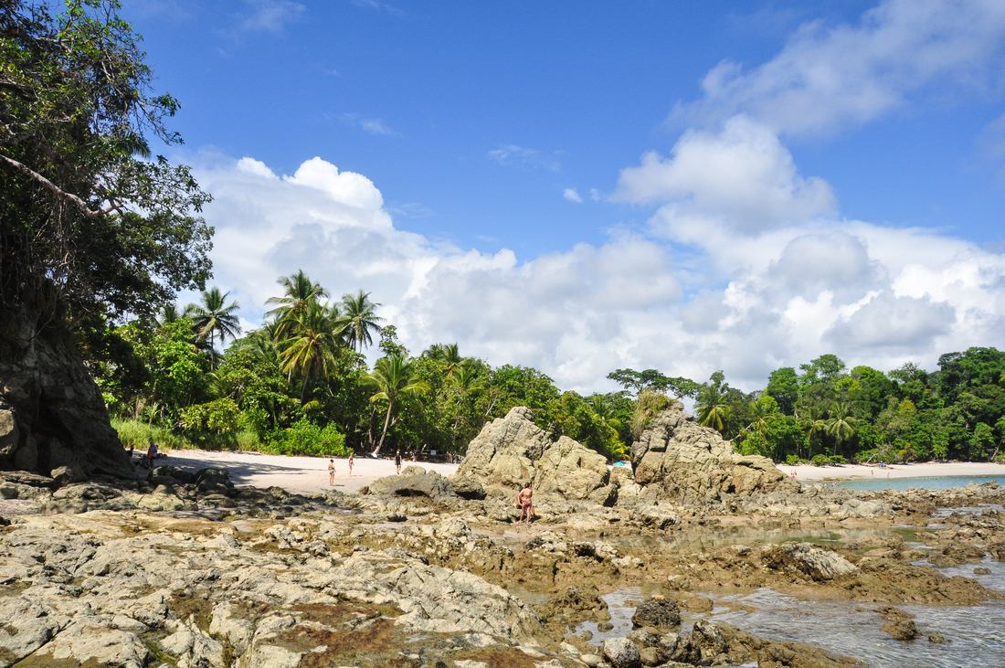 Plage Manuel Antonio