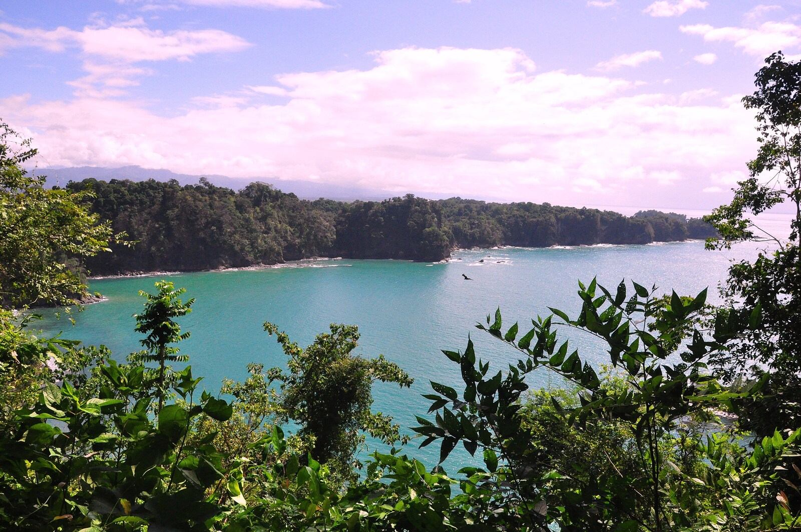 Paysage du Costa Rica