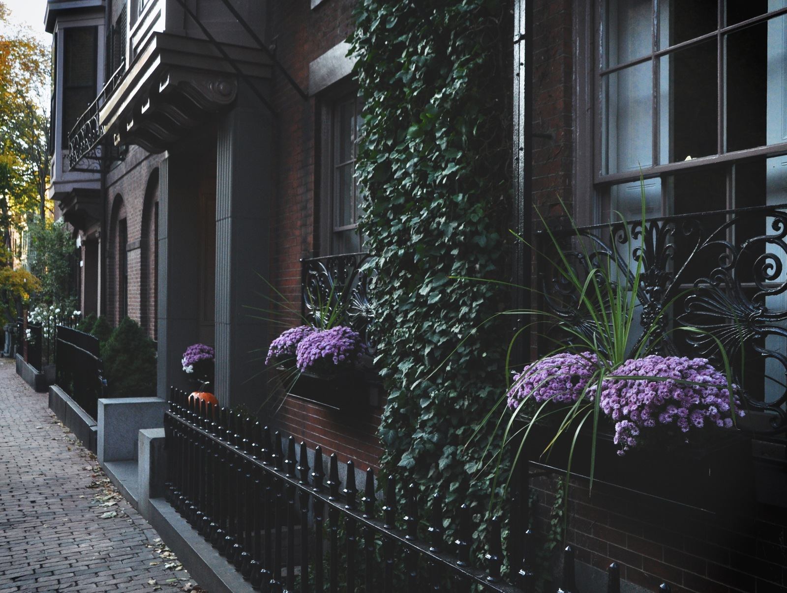 Fleurs et décos à Beacon Hill Fleurs et décos à Beacon Hill