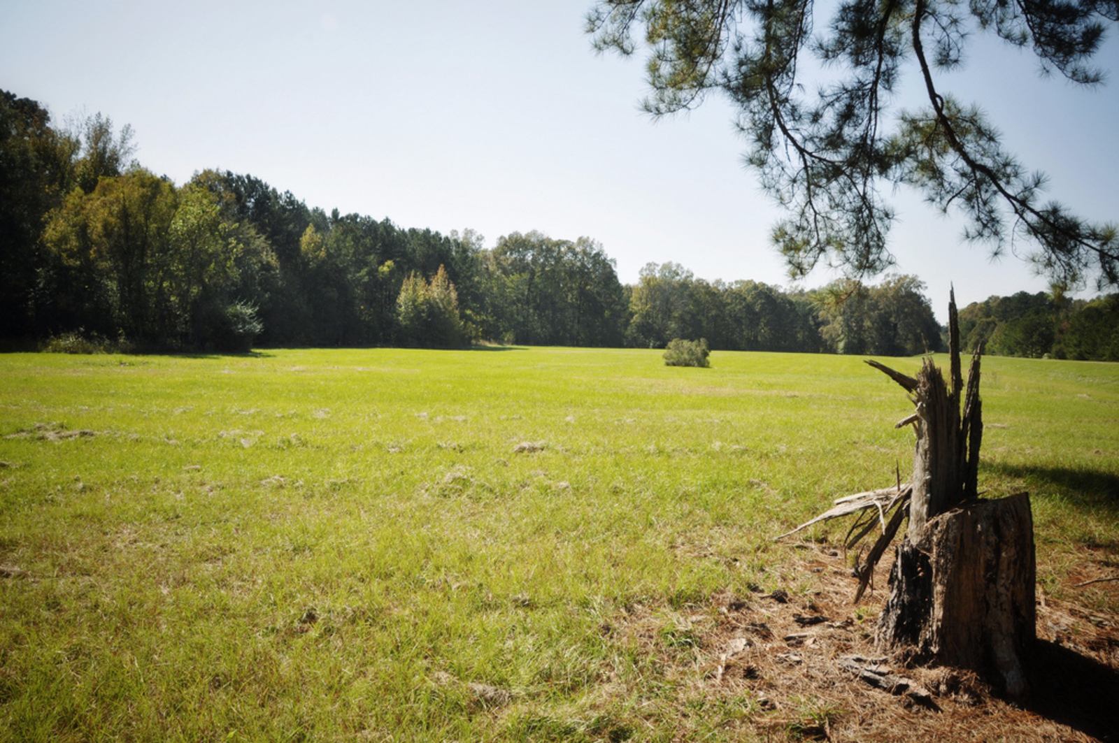 Natchez trace, Mississippi