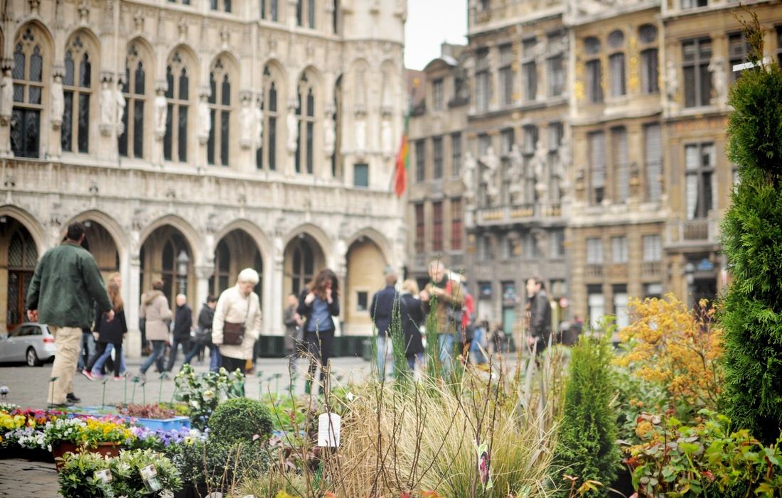 Grand-Place de Bruxelles