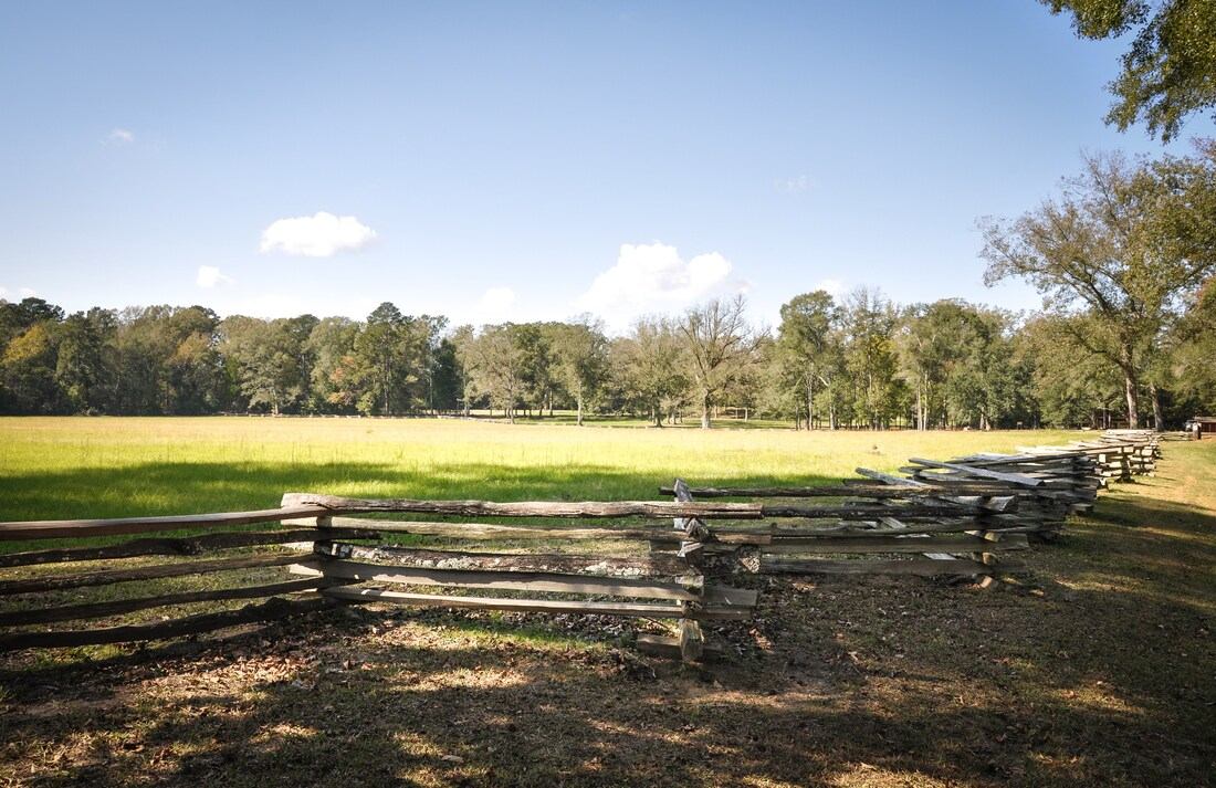 Natchez trace au Mississippi