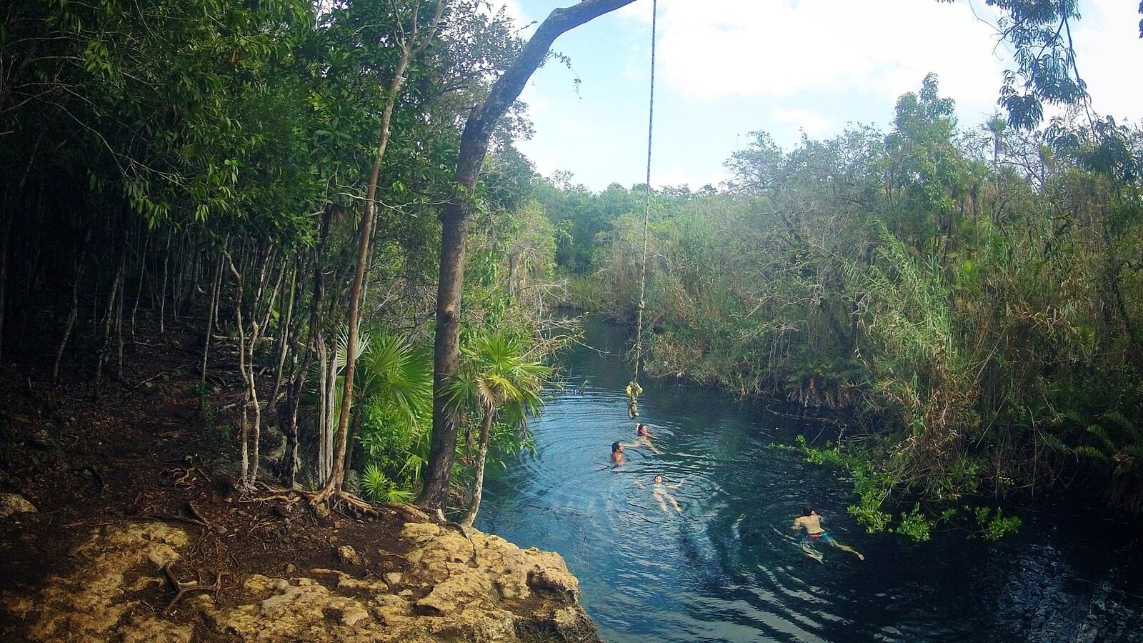 Cénote perdu dans la forêt