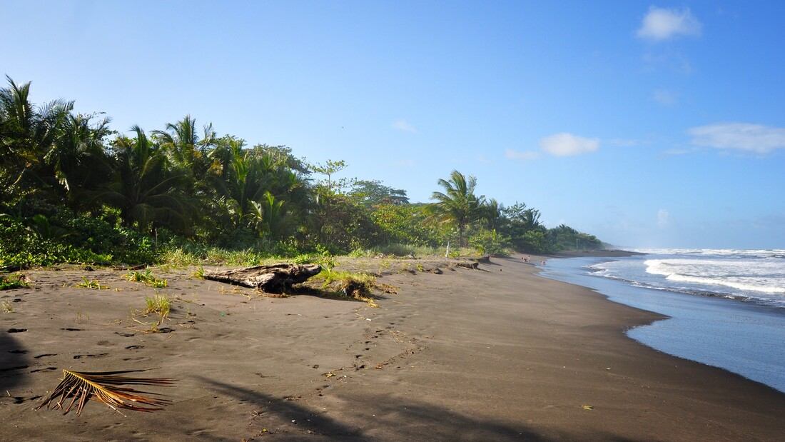 Mer des Caraïbes a Tortuguero