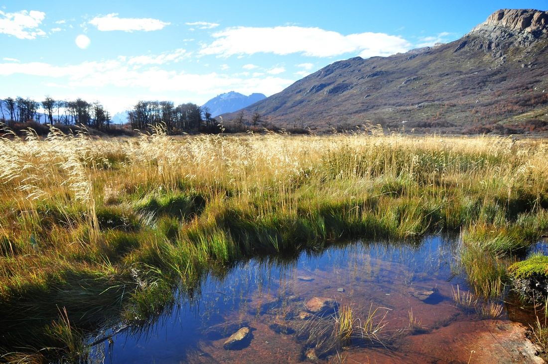 Entre El Chalten et le Fitz Roy