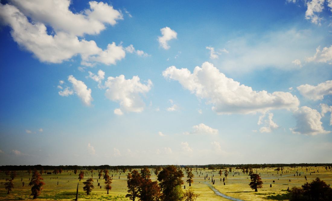 Marécages, Louisiane