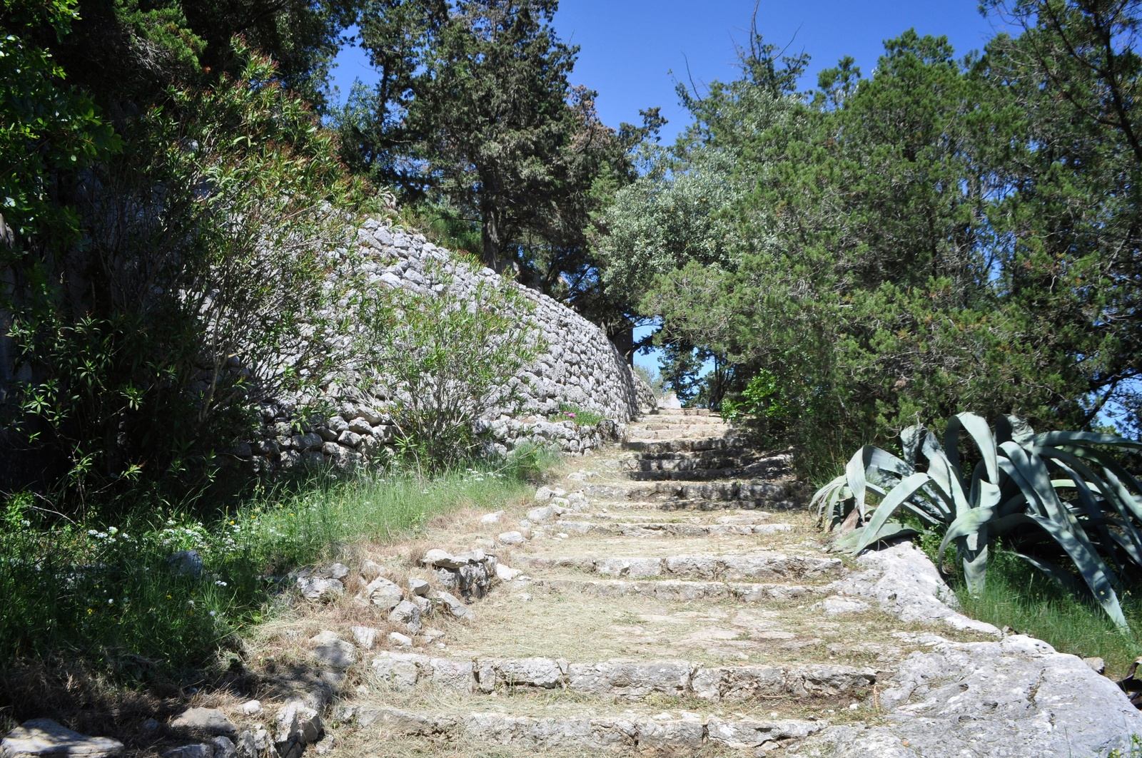 Balade sur l'ile de Mljet