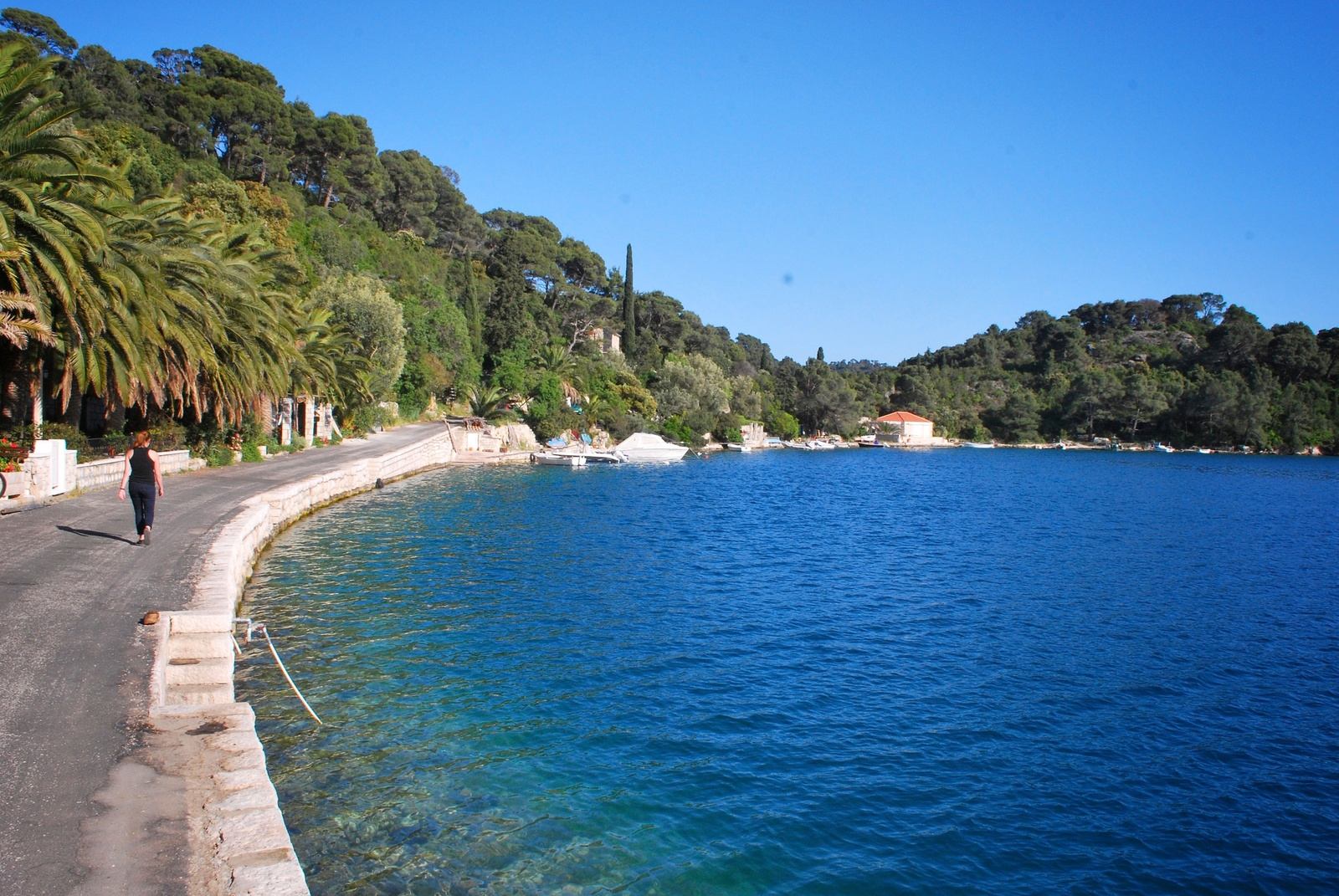 Soline sur l'ile de Mljet