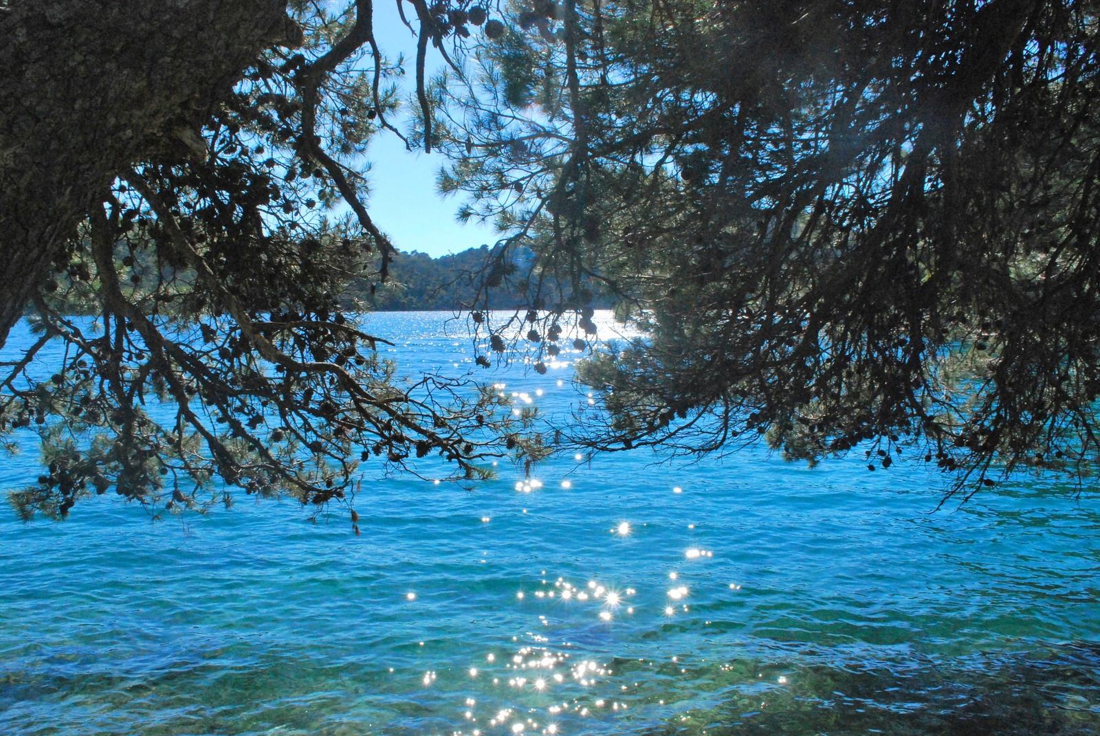 Balade autour des lacs à Mljet