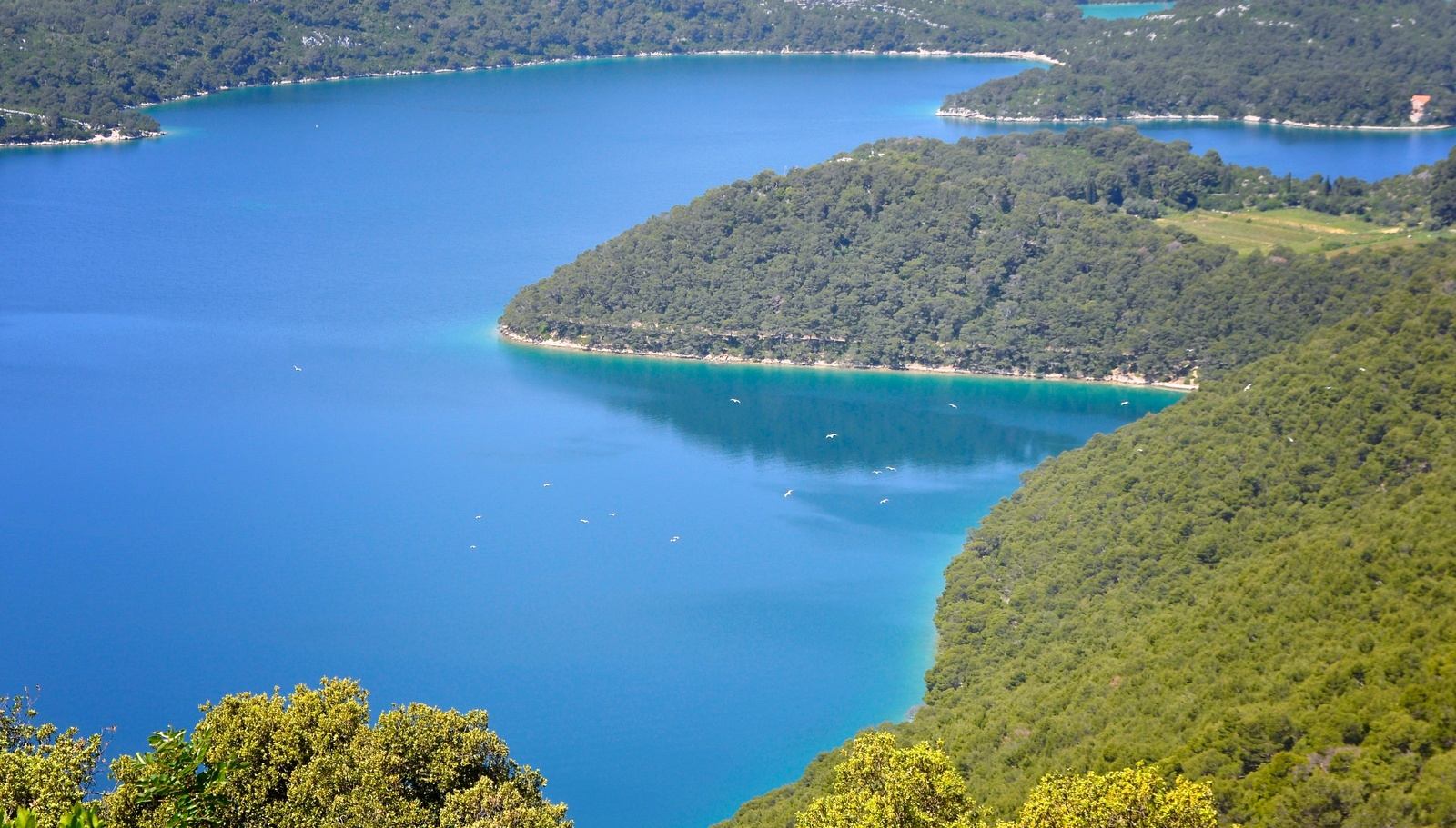 Les lacs intérieur de Mljet