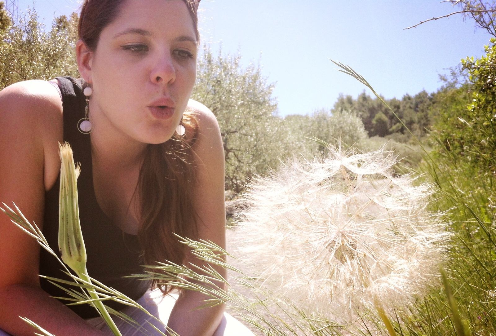 En balade sur l'ile de Korcula