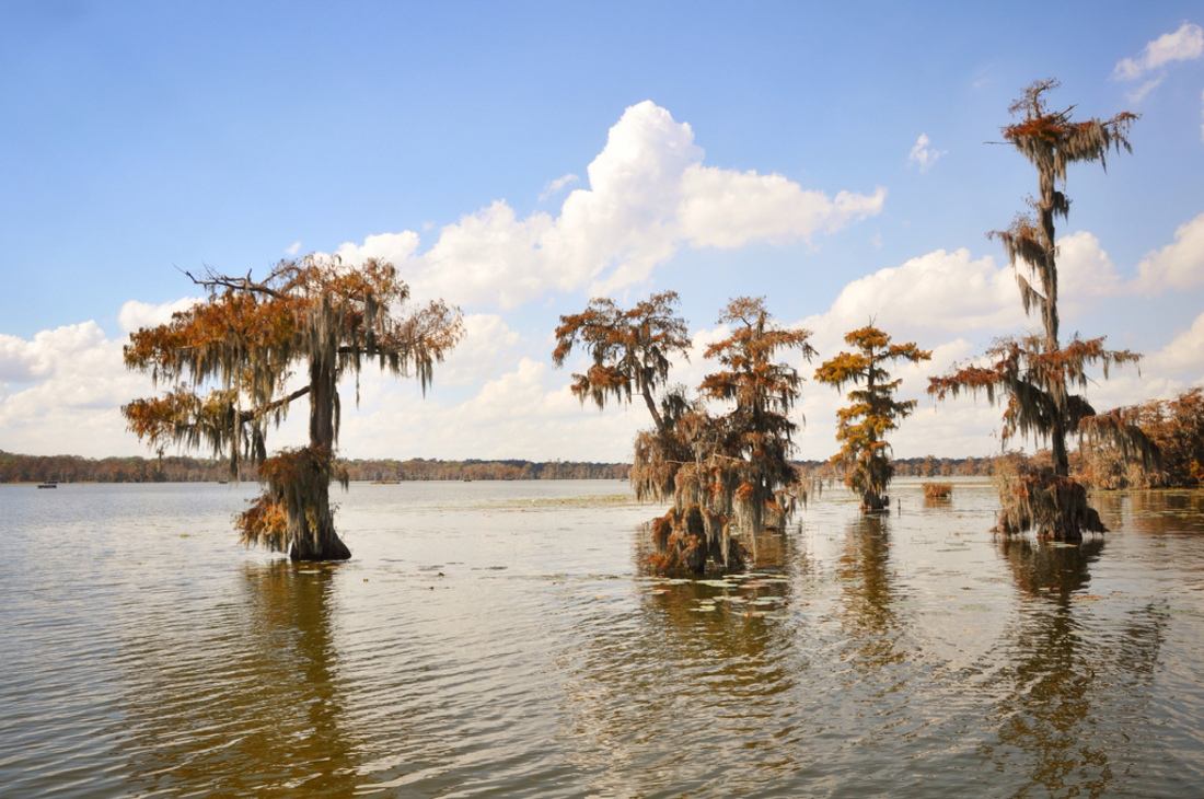 Marecages, Louisiane