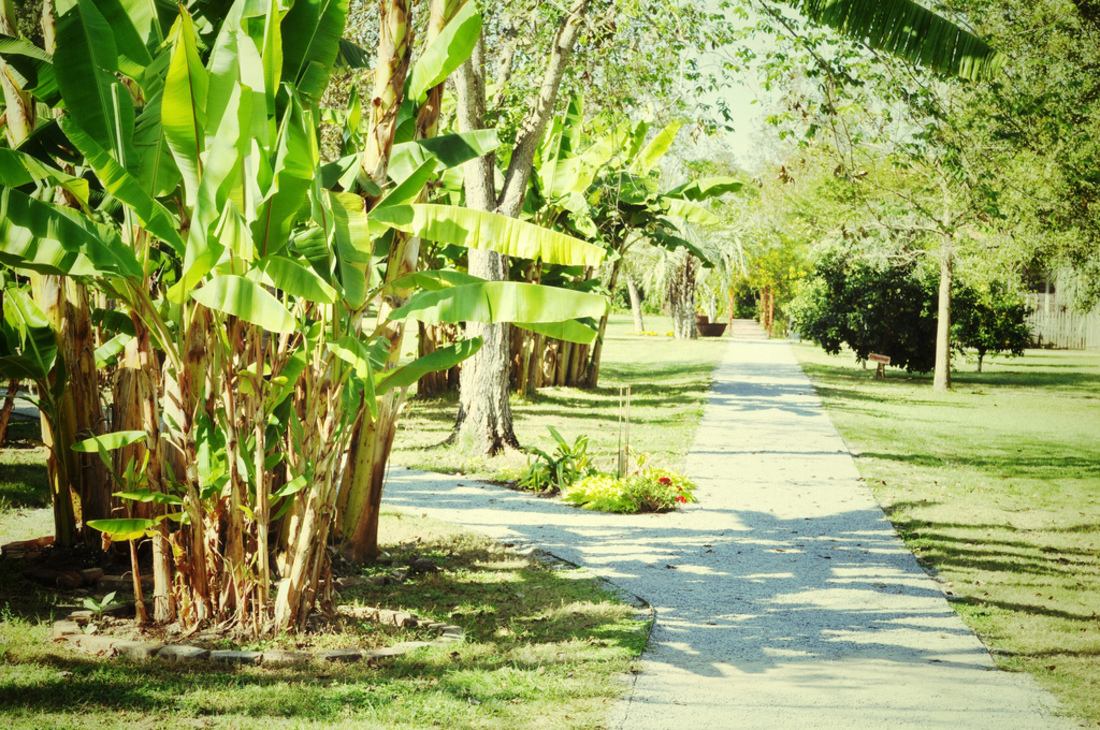 Plantation. Lafayette