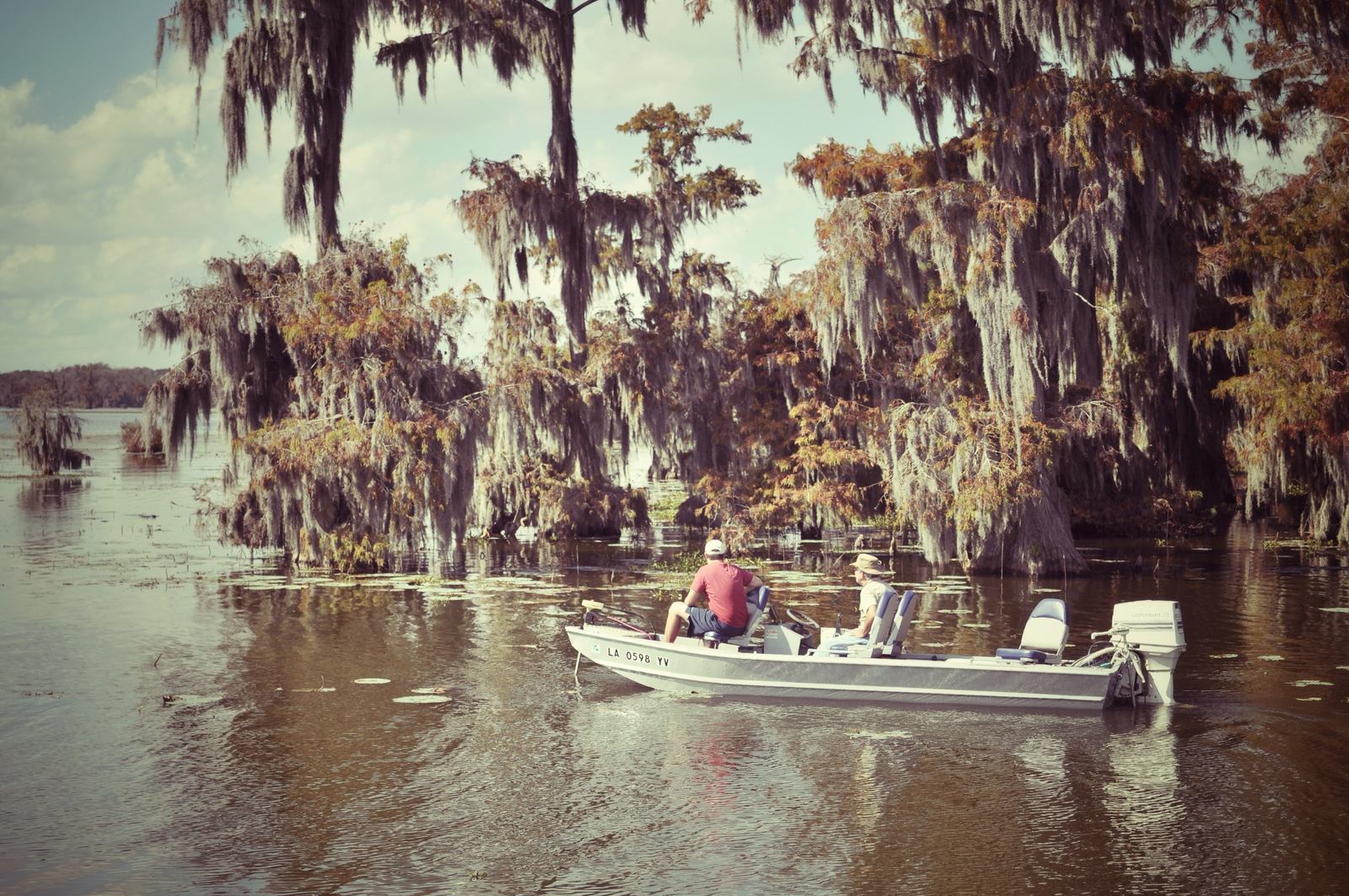 Marecages, sud des Etats Unis