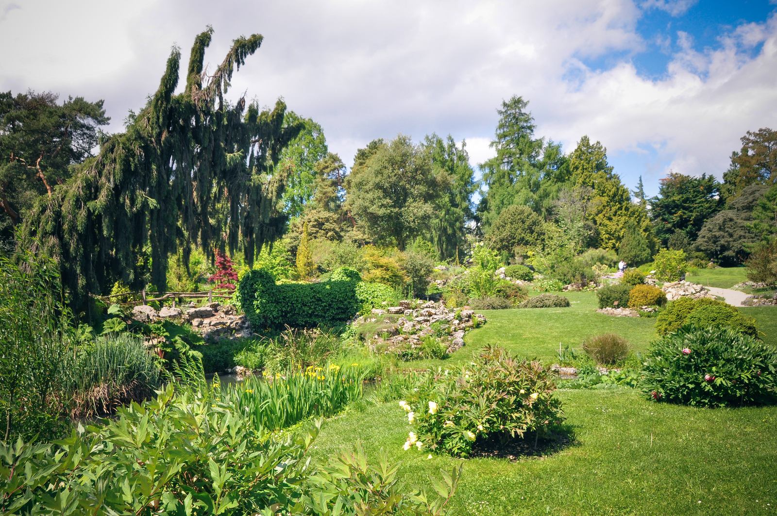 Jardin botanique