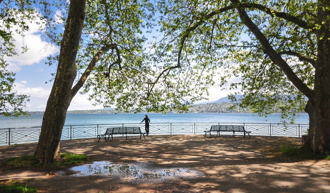 Les bords du Lac Leman