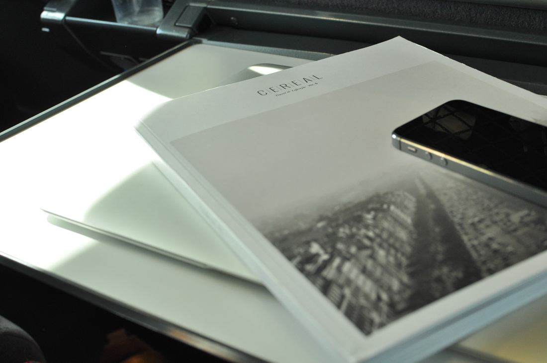 Lecture dans le train