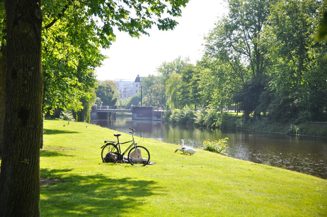 Joli parc d'Amsterdam