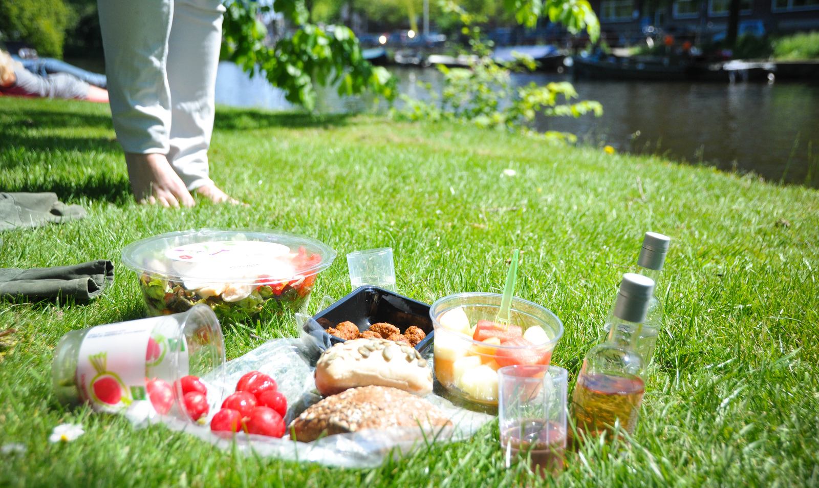 Pique nique à Westerpark Pique nique à Westerpark