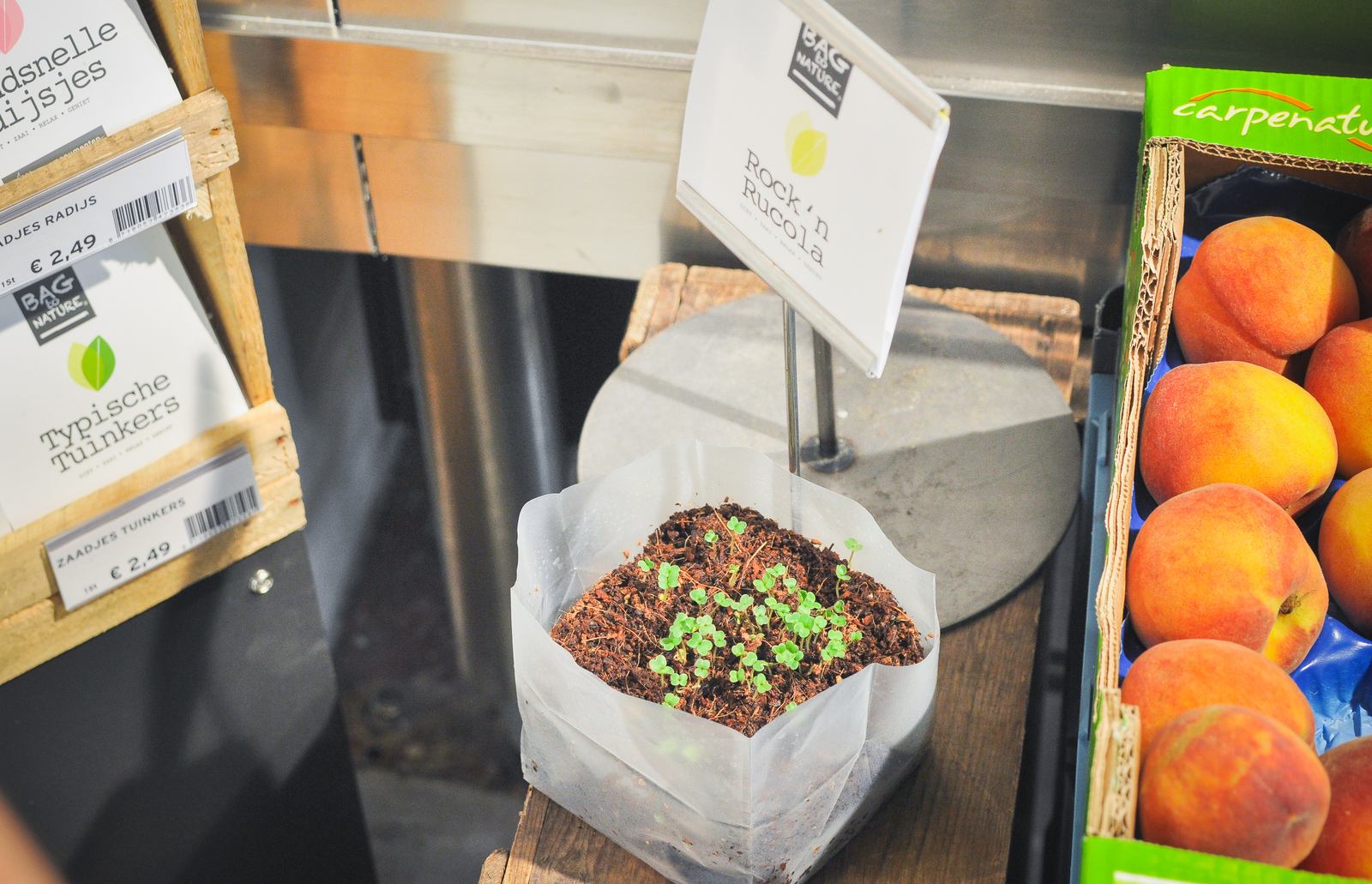 Petite plantation au Marqt