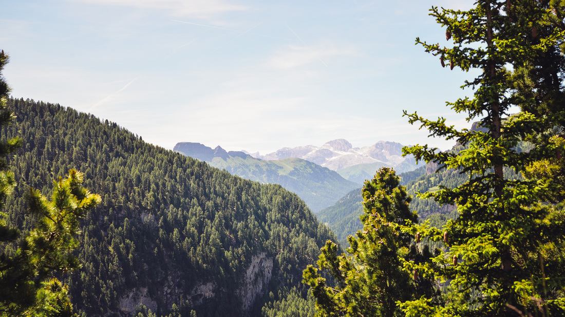Vue depuis Malga Ciapela