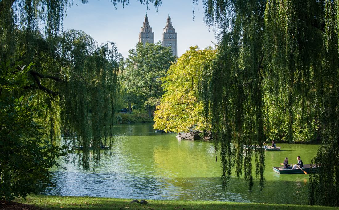 Faire de la barque à Central Park
