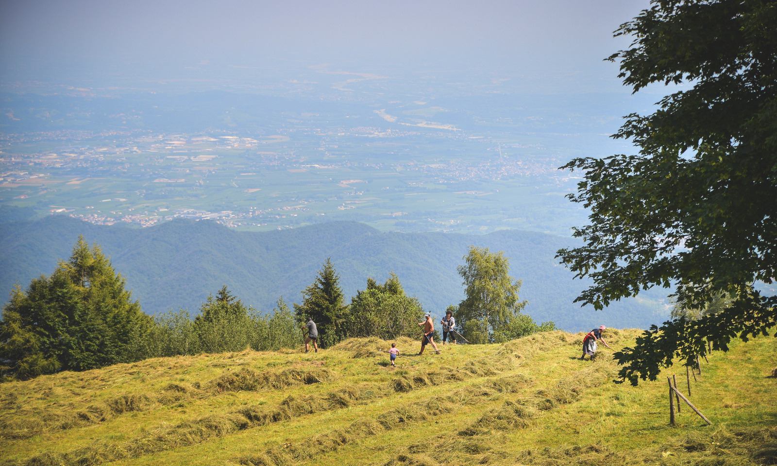Famillle au travail à coté de Valdobbiadene
