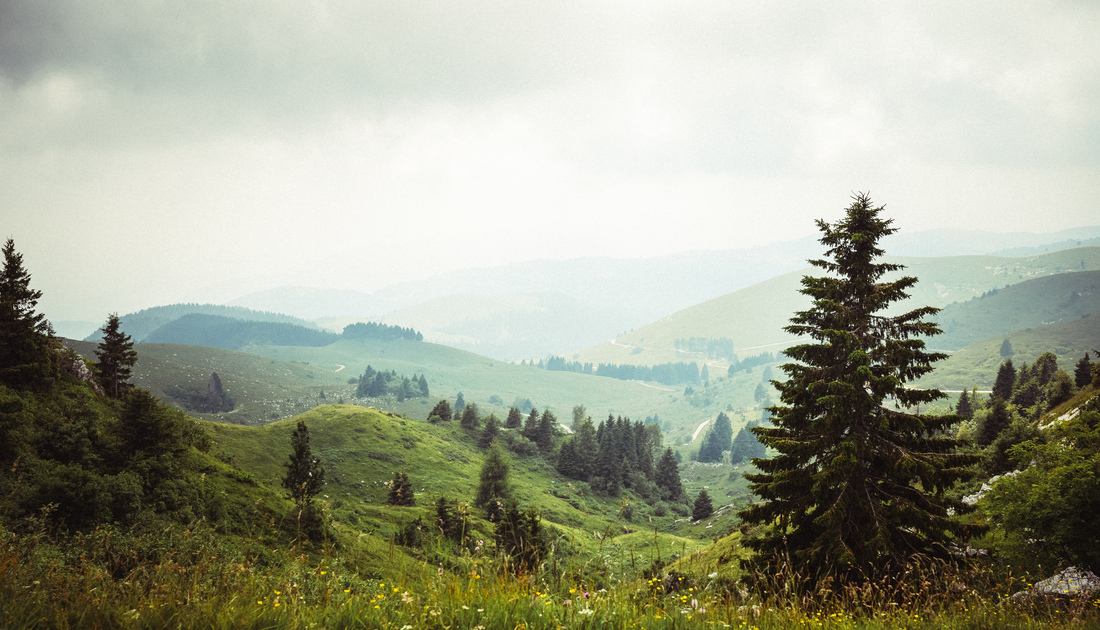 Vue depuis le Monte Grappa
