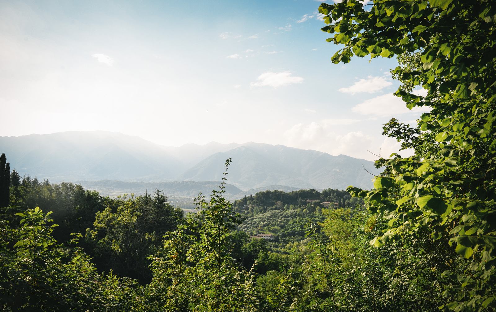 Sur la route vers Bassano del Grappa