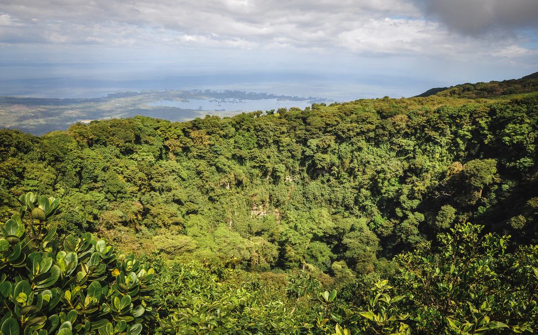 Cloud forest du Mombacho