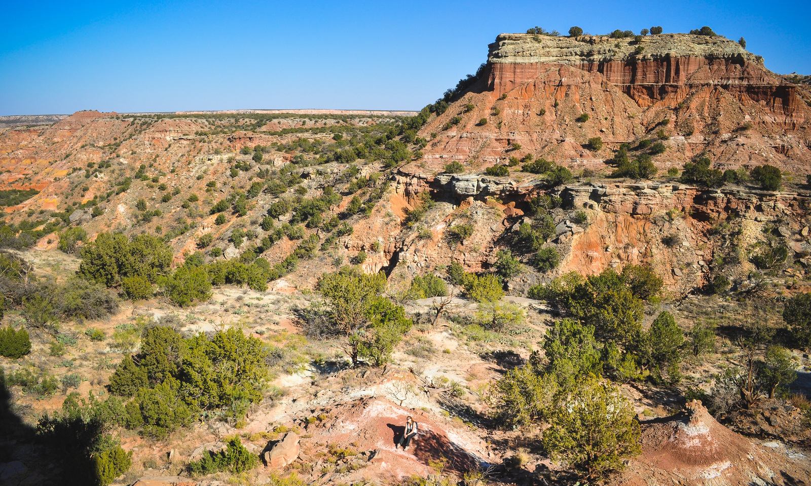Vegetation Palo Duro