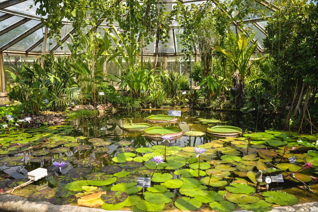 Serre du parc de la tete d'or