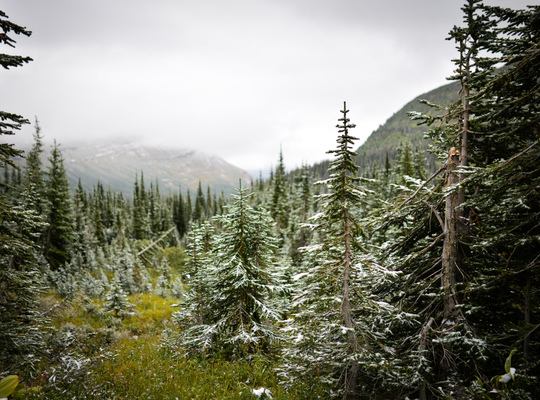 Changement de temps à Glacier National Park