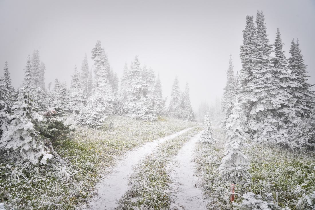 Glacier National Park sous la neige