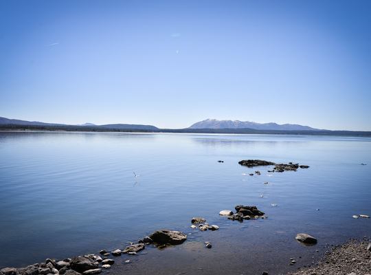 De retour de Yellowstone National Park