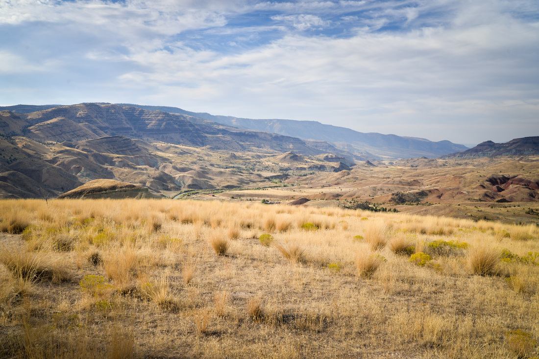 Paysages de John Day Fossils Bed