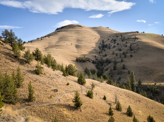 Arrivée dans l'Oregon : John Day 
