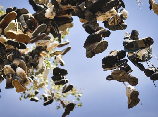 Arbre à chaussures où le Shoe Tossing aux USA