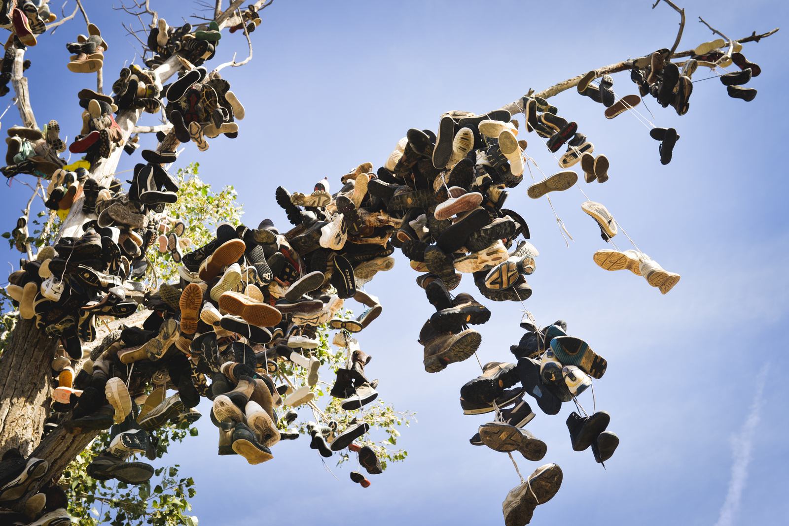 Shoe Tossing
