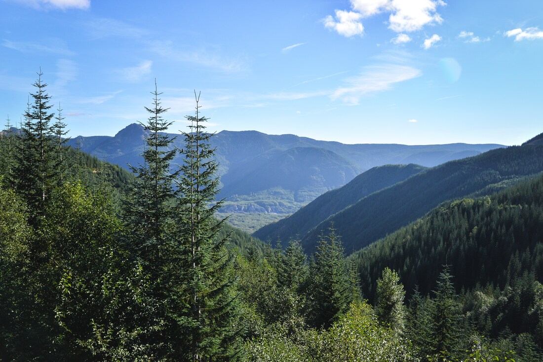 Paysages autour de Mont Saint Helens