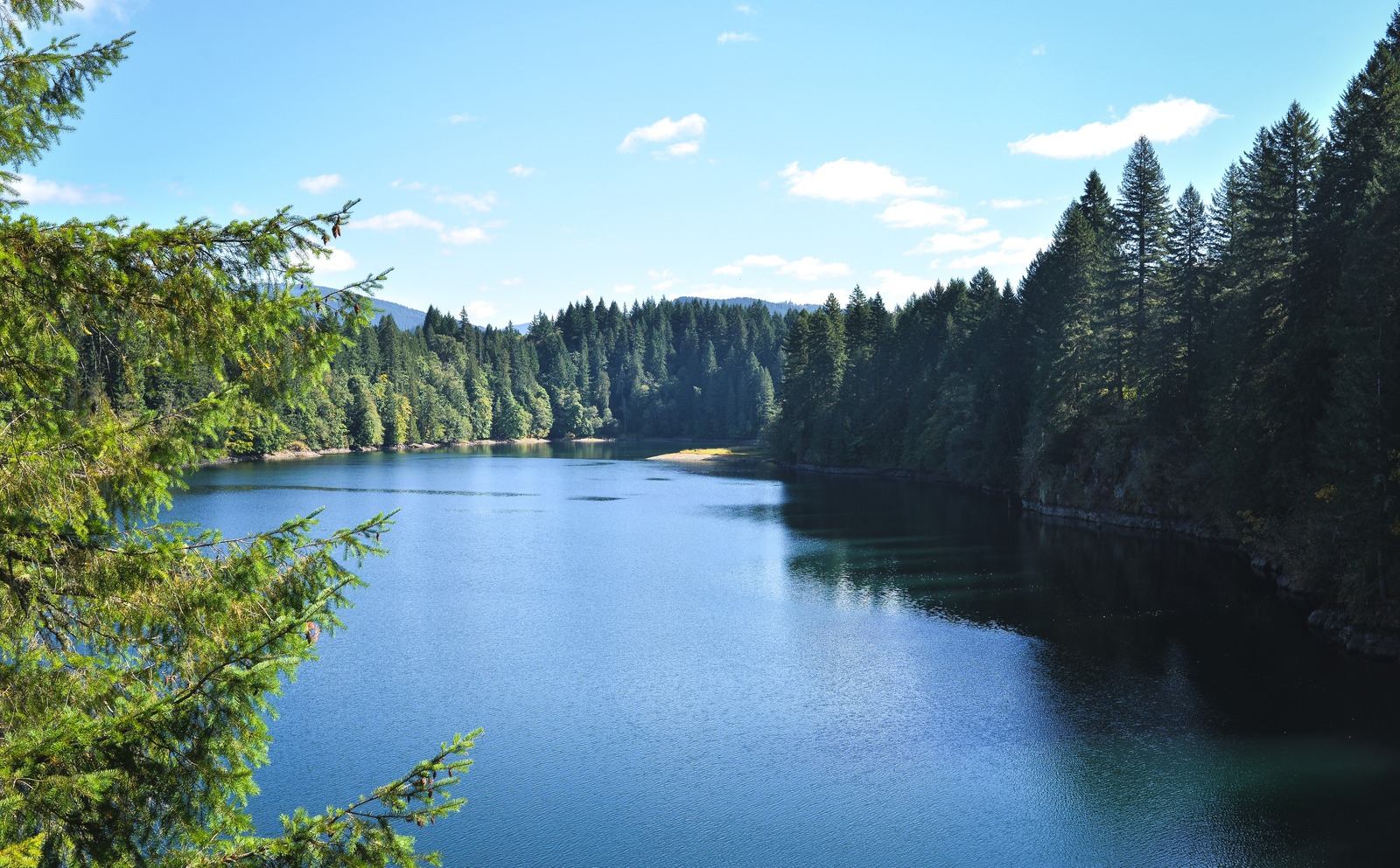 Sur la route du Mont Saint Helens