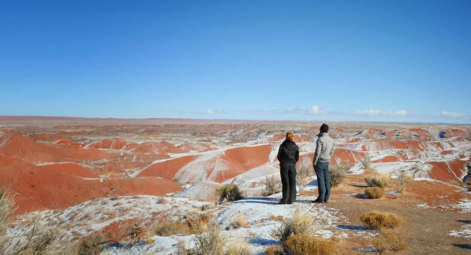 Petrified Forest National Park