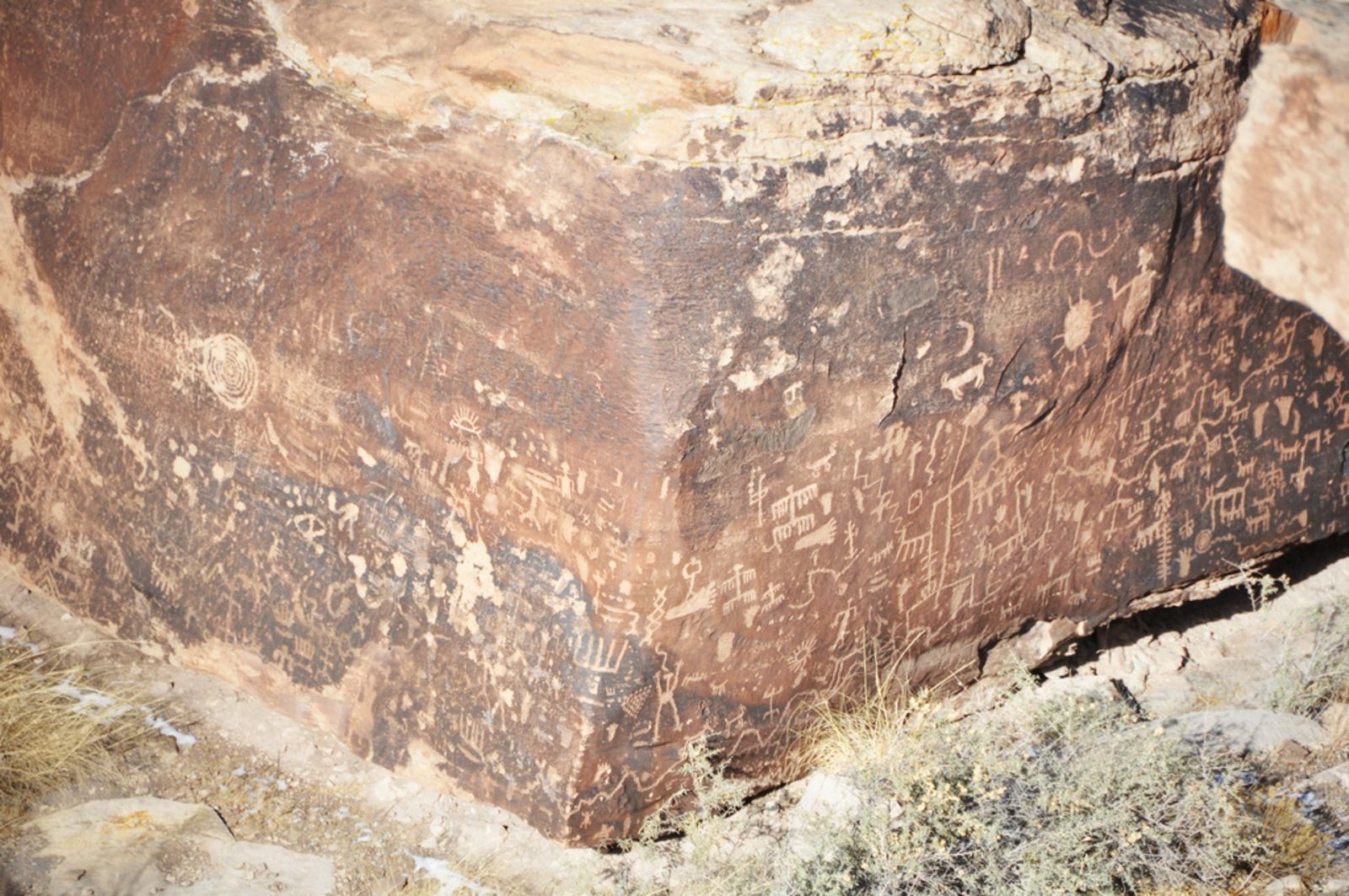 Pétroglyphes du Parc Petrified Forest Pétroglyphes du Parc Petrified Forest