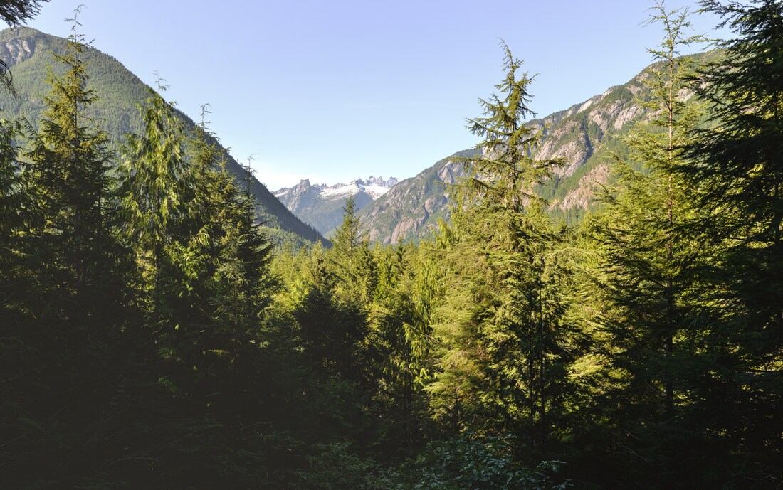 Panorama North Cascade National Park